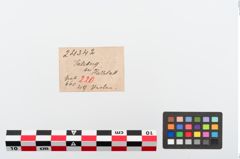 Etiketten zu Perlenkette (NHMW-PRAE-024342)